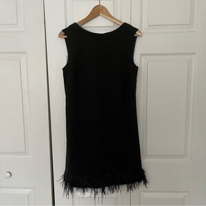 Black Banana Republic Feather Dress